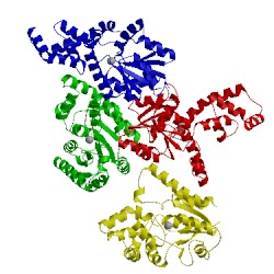 Image of CATH 2ioh