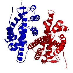 Image of CATH 2iok