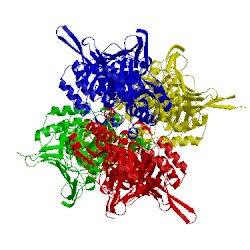 Image of CATH 2iop