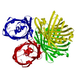 Image of CATH 2iov