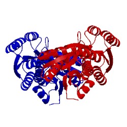 Image of CATH 2ioy