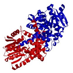 Image of CATH 2ip2