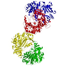 Image of CATH 2ipi