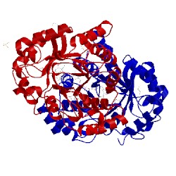 Image of CATH 2ipj