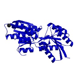 Image of CATH 2ipl