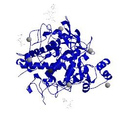 Image of CATH 2ips