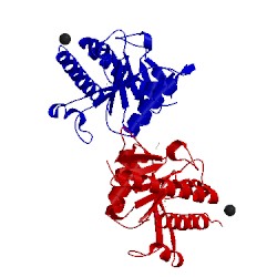 Image of CATH 2irp