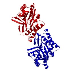 Image of CATH 2iru
