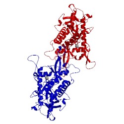 Image of CATH 2ish