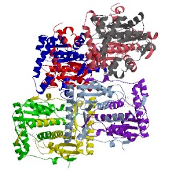 Image of CATH 2isk