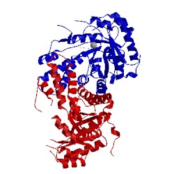 Image of CATH 2isw