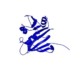 Image of CATH 2ith