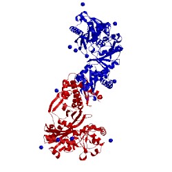 Image of CATH 2itm