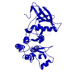 Image of CATH 2itx