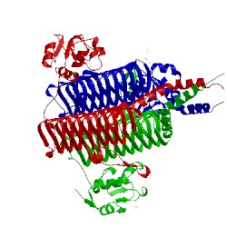 Image of CATH 2iu8