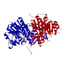 Image of CATH 2iuc