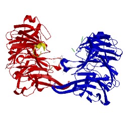 Image of CATH 2iuq