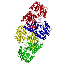 Image of CATH 2iv3