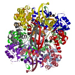 Image of CATH 2ivb