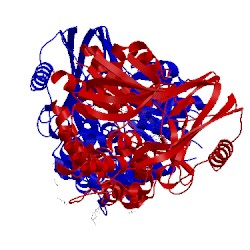 Image of CATH 2ivd