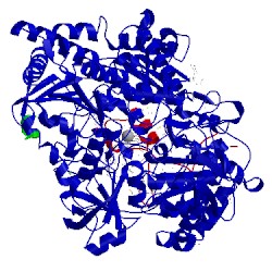 Image of CATH 2ivf