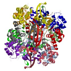 Image of CATH 2ivq