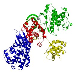 Image of CATH 2iw6