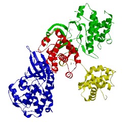 Image of CATH 2iw8