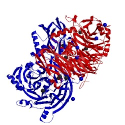 Image of CATH 2iwf