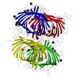 Image of CATH 2iwv
