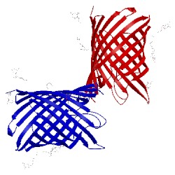 Image of CATH 2iww