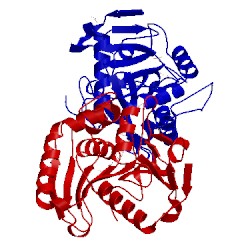 Image of CATH 2ix9