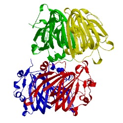 Image of CATH 2ixl