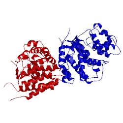 Image of CATH 2ixn