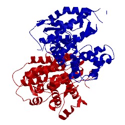 Image of CATH 2ixo