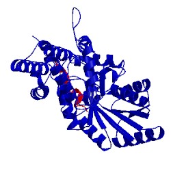 Image of CATH 2iy3