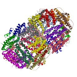 Image of CATH 2iy4