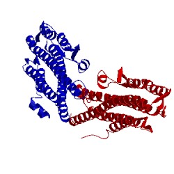 Image of CATH 2izp