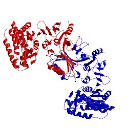 Image of CATH 2j0x