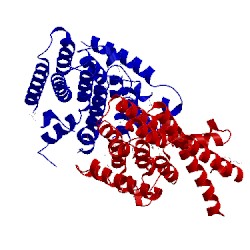 Image of CATH 2j1p