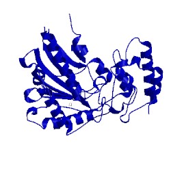 Image of CATH 2j1q