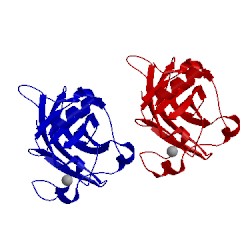 Image of CATH 2j21