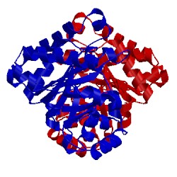 Image of CATH 2j24