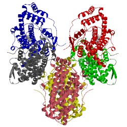 Image of CATH 2j2f