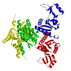 Image of CATH 2j41