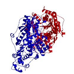 Image of CATH 2j4d