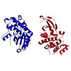 Image of CATH 2j50