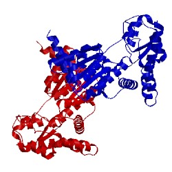 Image of CATH 2j5b