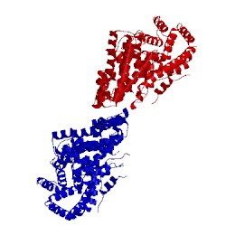 Image of CATH 2j5c