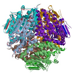 Image of CATH 2j5g